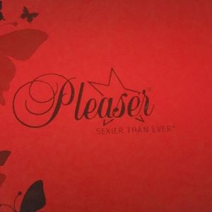 Black Stiletto by Pleaser